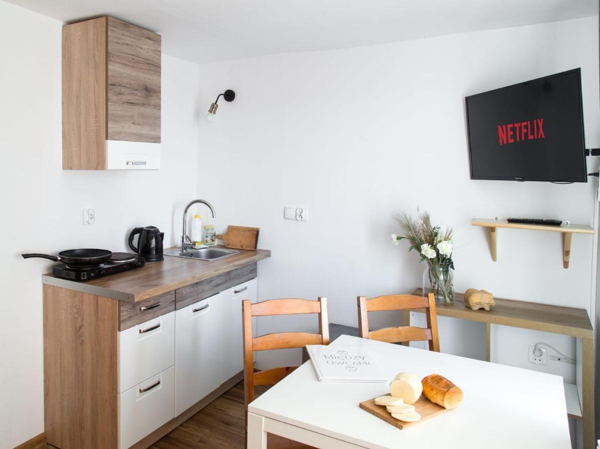 Miedzy Owcami Apartamento Sromowce Wyzne Exterior foto